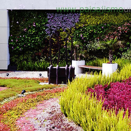 Stabilisierte Wandbegrünung - BIOMAX  - Paisajismo Urbano - modulare Platte / natürlich / Flechte
