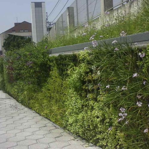 Wandbegrünung / lebende Pflanzen - BERANGO, BIZKAIA - Paisajismo Urbano - modulare Platte / natürlich / für Garten