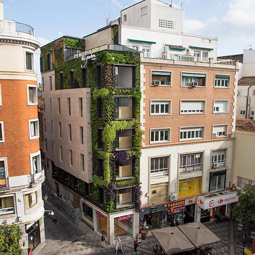 Stabilisierte Wandbegrünung - MONTERA STREET - MADRID - Paisajismo Urbano - modulare Platte / natürlich / für Garten