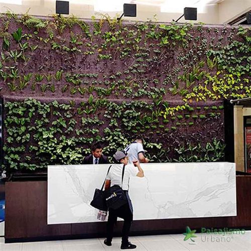 Stabilisierte Wandbegrünung - GUATEMALA - BUSSINESS CENTER - Paisajismo Urbano - modulare Platte / natürlich / für den Innenraum