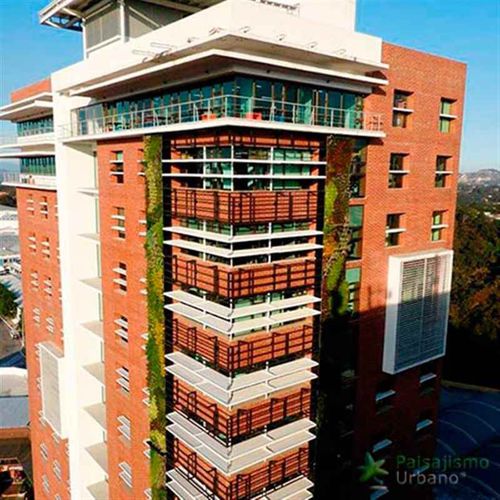 Wandbegrünung / lebende Pflanzen - GUATEMALA - CRECE BUILDING - Paisajismo Urbano - Tower / natürlich / Blumen