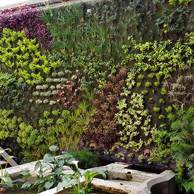 Wandbegrünung / lebende Pflanzen - RESTAURANT IN ANTIGUA - Paisajismo Urbano - modulare Platte / natürlich / Blumen