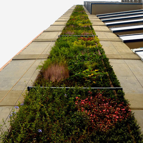 Wandbegrünung / lebende Pflanzen - VERTICAL ECOSYSTEM IN COLOMBIA - Paisajismo Urbano - modulare Platte / Tower / natürlich