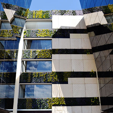 Stabilisierte Wandbegrünung - CONNECTA G4-G5 BUSINESS PARK BUILDING - Paisajismo Urbano - lebende Pflanzen / modulare Platte / natürlich