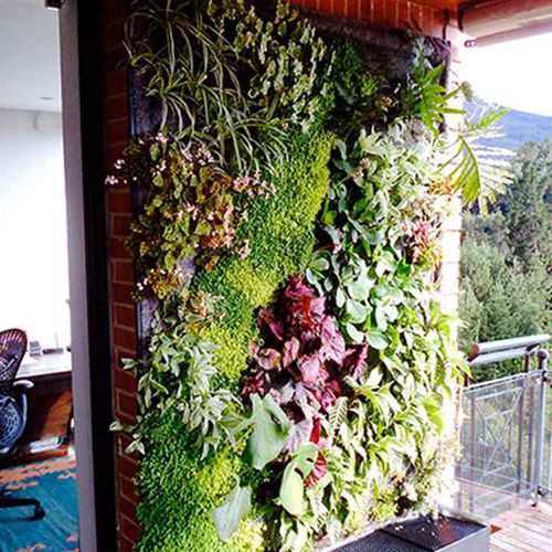 Wandbegrünung / lebende Pflanzen - COLOMBIA – PRIVATE HOUSE, BOGOTÁ - Paisajismo Urbano - modulare Platte / natürlich / Blumen