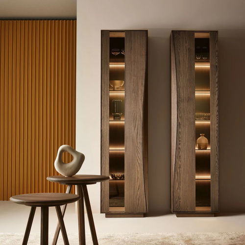 Hochschrank für Wohnzimmer - PURO WAVE - ANREI - Reisinger GmbH