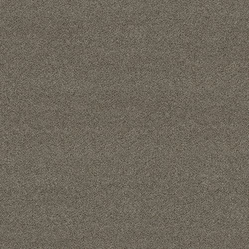 Büschel-Teppichboden - 5E966-00720 - Shaw floors - PET / für Gewerbegebrauch / Motiv