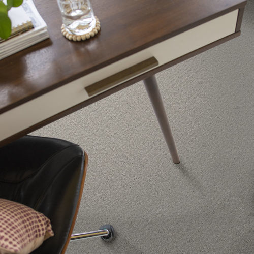Schlingen-Teppichboden - VINTAGE FLAIR - Shaw floors - PET / für Gewerbegebrauch / Motiv
