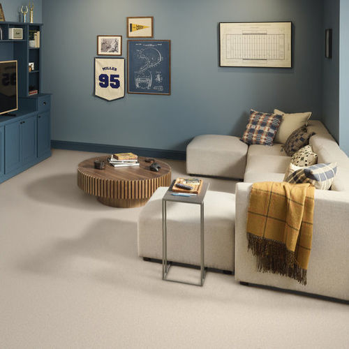 Büschel-Teppichboden - PURE COMFORT II - Shaw floors - Nylon / für Gewerbegebrauch / Contract