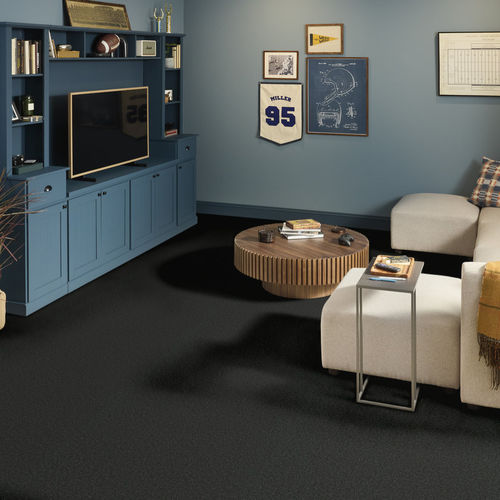 Büschel-Teppichboden - PURE COMFORT I - Shaw floors - Nylon / für Gewerbegebrauch / einfarbig