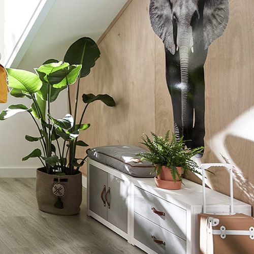 Kissen für Bänke - 7066 - LIFETIME Kidsrooms - rechteckig / einfarbig / für Privatgebrauch