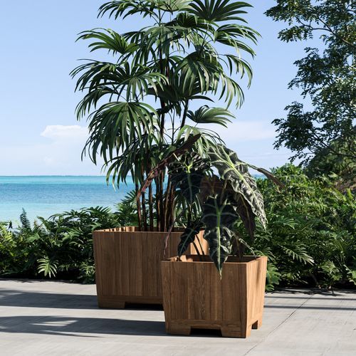 Teakholz-Pflanzkübel - BOTANIQ   - Royal Botania - quadratisch / modern / beige