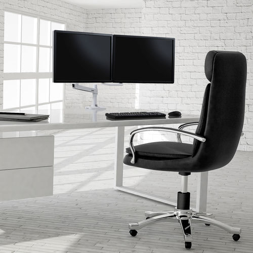 Büro-Bildschirmhalterung - 45-522-216 - ERGOTRON - doppelt