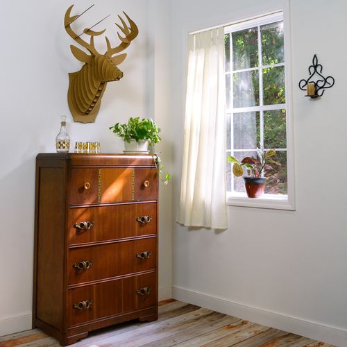 Karton-Skulptur - BUCKY DEER HEAD - cardboard safari - Wand