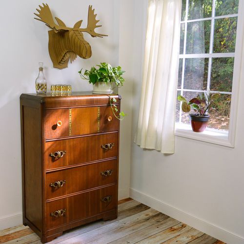 Karton-Skulptur - FRED MOOSE HEAD  - cardboard safari - Wand