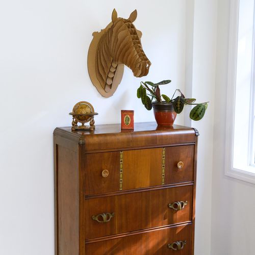Karton-Skulptur - PIPPIN HORSE HEAD - cardboard safari - Wand