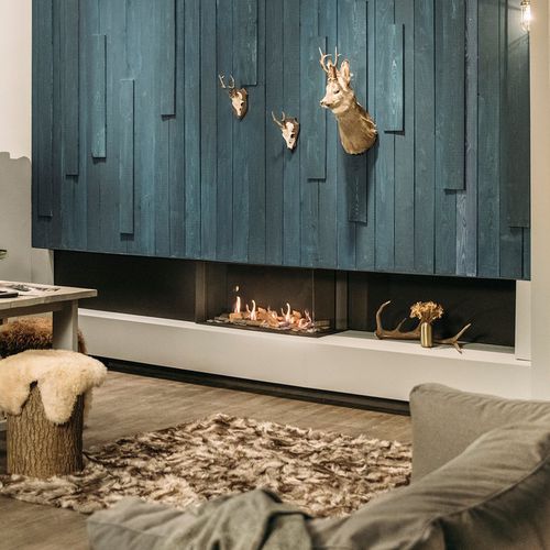 Geschlossene Feuerstelle / Gas - MATRIX LINEAR 800-400 II - Faber - doppelseitig / Stahl / Glas