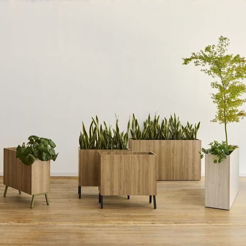 Holz-Pflanzkübel - WAVEWORKS® - KIMBALL Office - rechteckig / modern / für Gewerbegebrauch