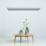 Abgehängte Decke / Akustik, Akustikdeckensystem - alle Hersteller aus