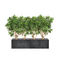 SteinPflanzkübel DRACAENA Artaqua rechteckig / modulierbar / modern