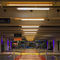 AufbauleuchteACTiTube40S RGBWACTiLED Lighting