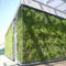 Wandbegr&uuml;nung f&uuml;r Au&szlig;enbereichSOPRANATURE&reg; VIVAGREEN&reg;SOPREMA