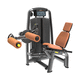 Bein-Curl-Fitnessgerät / Beinstreckung / für den Innenraum / für Außenbereich