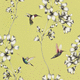 moderne Tapete / Blumenmotiv / Tiermuster / Tapetenoptik