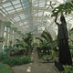 Gewächshaus für Gewerbegebrauch / botanisch / einkuppelig / Glas