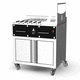 Holzkohlegrill / bodenstehend / für Profiküchen / Edelstahl