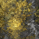 moderne Tapete / Motiv / Stoffoptik / gold