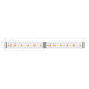 LED-Band