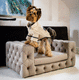 Luxus-Hundesofa / Stoff / beige / braun