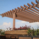 selbsttragende Pergola / Holz / Holzdach / maßgefertigt