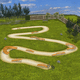 Skatepark für Bikeparks