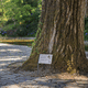 botanisches Schild / für Außenbereich / festinstalliert / galvanisiertem Stahl