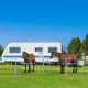 Zaun mit Stangen / für Tiergehege / Aluminium / rechteckig