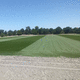 Rasenrolle / für Sportplätze / zur Drainage / verstärkt