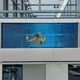 Acryl-Paneel / für Pool / für Unterwasserfenster / PMMA