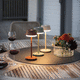Tischlampe / Aluminium / modern / mit Akku