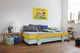 Ausziehbett / Einpersonen / modern / für Kinder