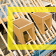 Sandwich-Dämmplatte für geneigtes Dach / 2 Holz-Deckschichten / Kern aus Polyurethanschaum / hochbeständig