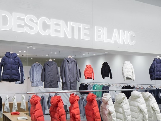 Descente Blanc