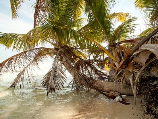 Leonardo DiCaprio errichtet einen Luxuxc$ecoerholungsort nahe Belize