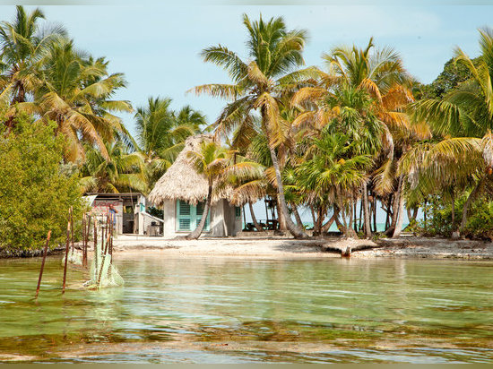 Leonardo DiCaprio errichtet einen Luxuxc$ecoerholungsort nahe Belize