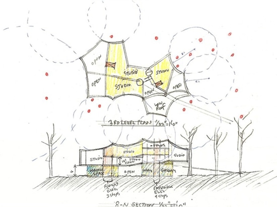 Steven Holls reflektiert unbedeutende neue bildende Kunst-Mitte die Schönheit von Altwachstumsbäumen