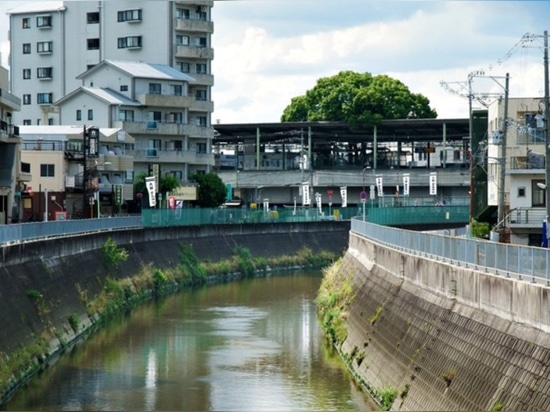 Japanischer Bahnhof errichtet um enormen Kampferbaum mit 700 Jährigen