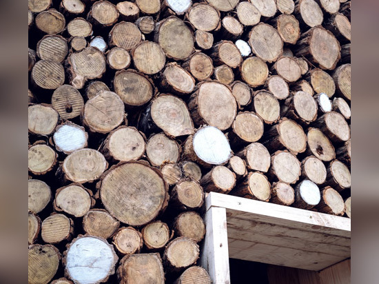 Hallo errichtet Holz Budapest-Weihnachtsbaum von 5000 Stücken Brennholz