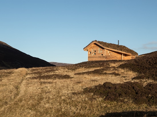 Hüttenmischungen moxon Architekten Moos-erstklassige Gebirgsin die schottischen Hochländer