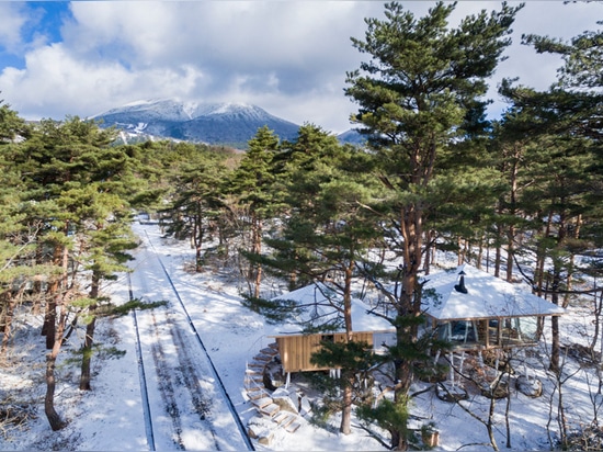 Lebensstilswerkstatt integriert ‚ein Jahrprojekt‘ in Japans natürlichen Waldlebensraum